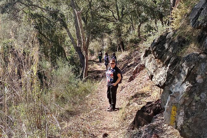 Hike the Cork Oak Trail and Try Some Delicious Cheese - Tour Group Size and Accessibility