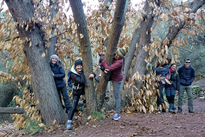 Hike the Cork Oak Trail and Try Some Delicious Cheese - Fitness Level and Cancellation Policy