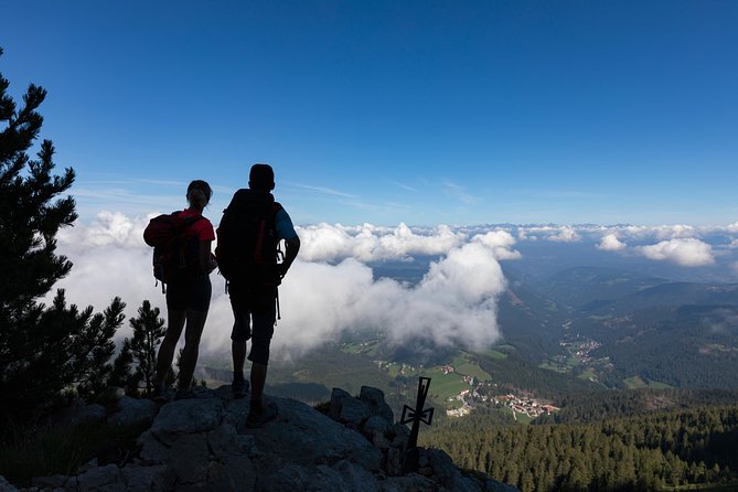 Hike the Dolomites: One Day Private Excursion From Bolzano - Customer Reviews