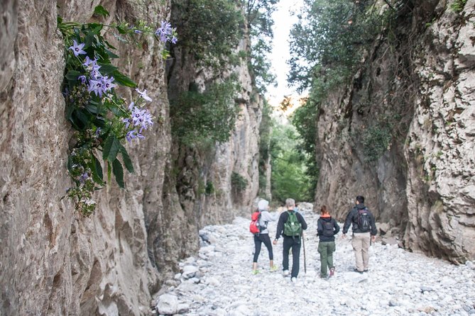 Hike the Gorgeous Gorge - Key Points