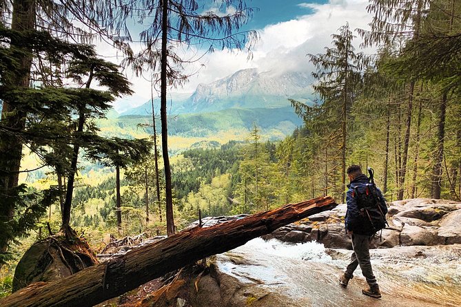 Hike the Gorgeous Trails in Washington - Immerse in Evergreen Forest Tranquility