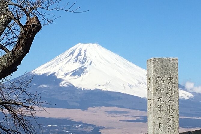 Hike the Hakone Hachiri - Private Tour and Activity
