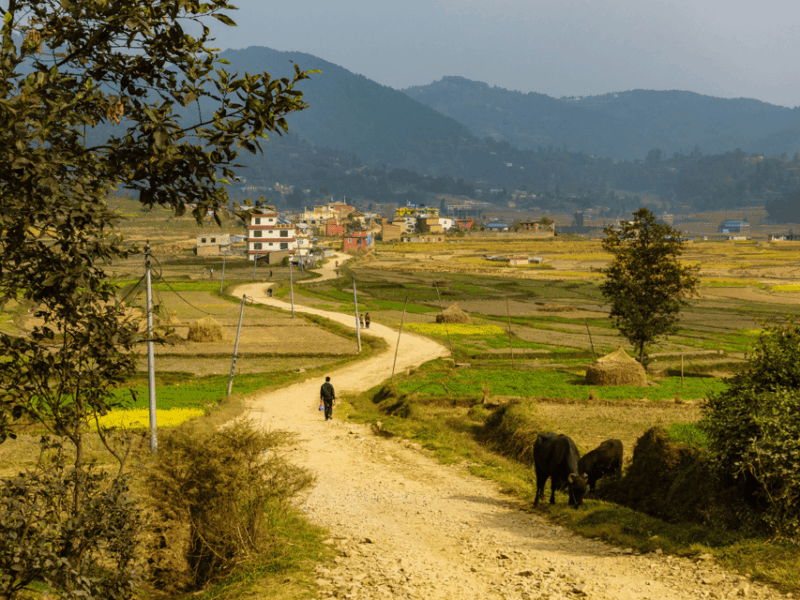 Hike the Historic Route: Namobuddha to Panauti Day Hike - Local Village Experiences