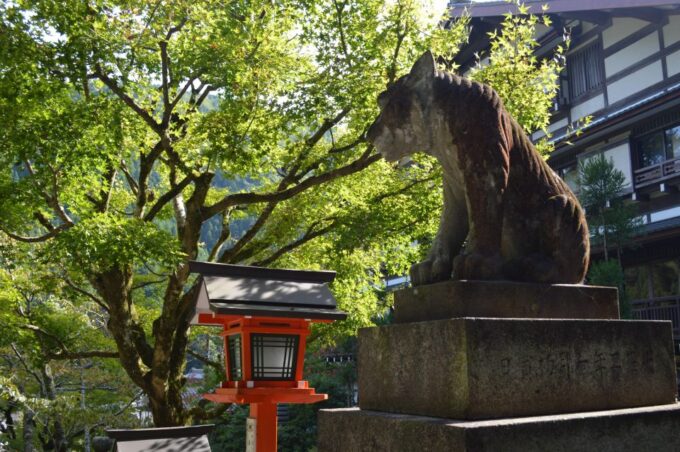 Hike the Mystic Northern Mountains of Kyoto - Temporary Hot Springs Closure