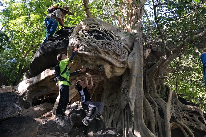 Hike the Native Pericu Road in Sierra De La Laguna. - Included Amenities and Experiences