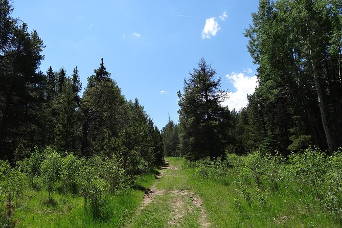 Hike the Rockies Half Day Tour - Health and Accessibility