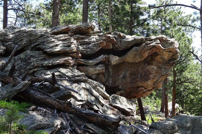 Hike the Rockies Half Day Tour - Booking Information