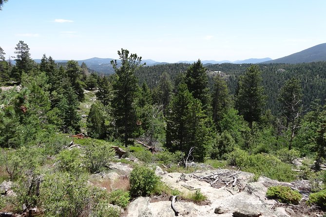 Hike the Rockies Half Day Tour - Reviews