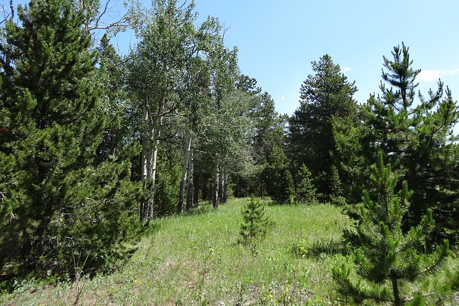 Hike the Rockies Half Day Tour - Tour Times