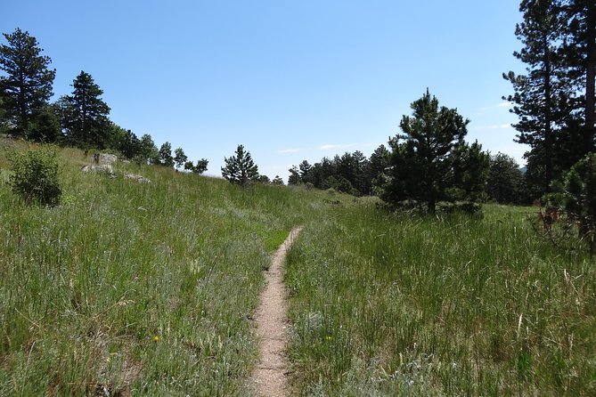Hike the Rockies Half Day Tour - Group Size