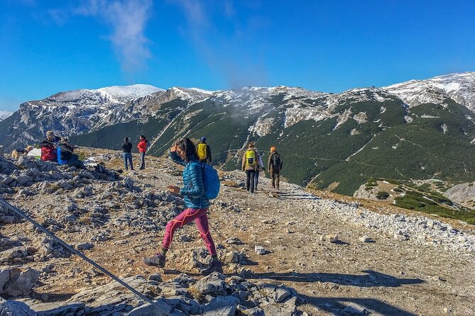 Hike the Viennese Alps Like Freud - Key Points