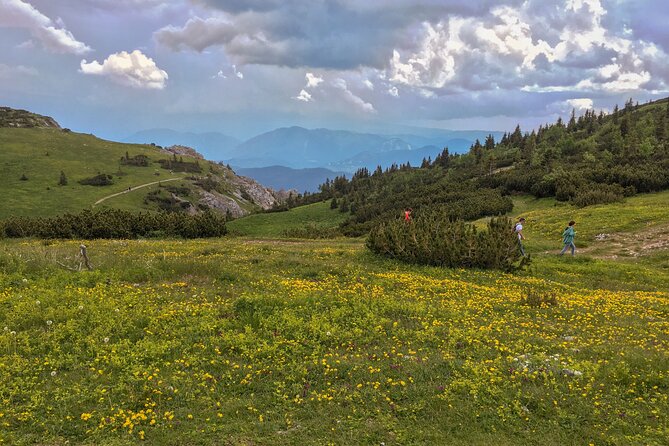 Hike the Viennese Alps Like Freud - Weather and Cancellation Policy