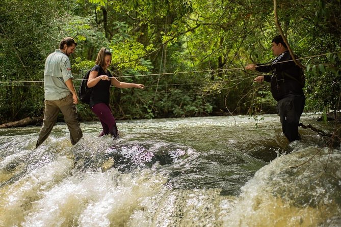 Hike Through Secret Waterfalls in Foz Do Iguaçu (Part-Time - Morning) - Customer Experiences