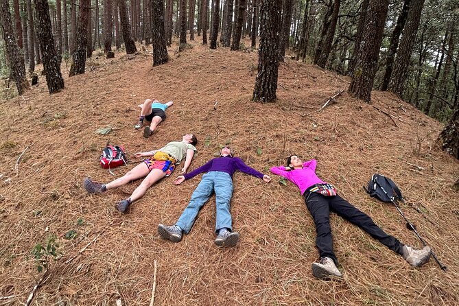 Hike Through the Forest of the Sierra Norte De Oaxaca - Guides and Hiking Experience