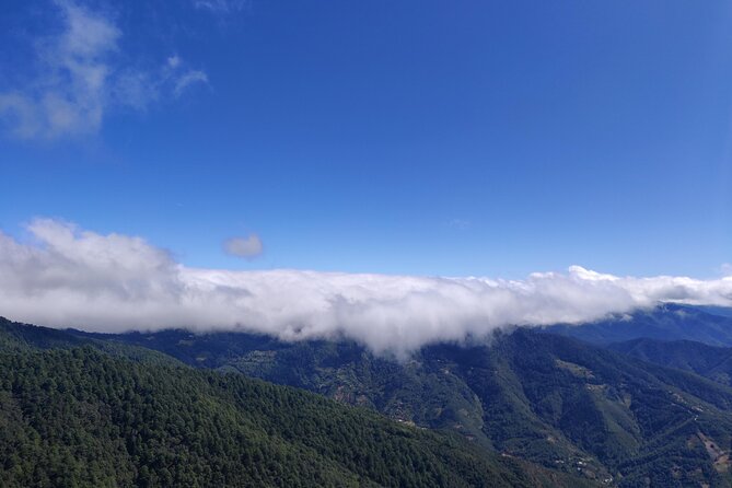 Hike Through the Forest of the Sierra Norte De Oaxaca - Authentic Meals and Restaurants