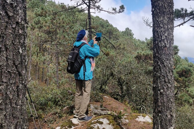 Hike Through the Forest of the Sierra Norte De Oaxaca - Group Dynamics and Pacing
