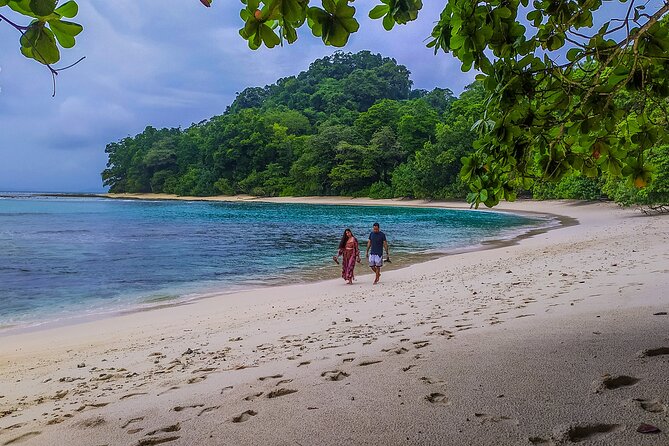 Hike to Elephant Beach Exploring Tropical Flora and Fauna - Diverse Bird Species of the Region