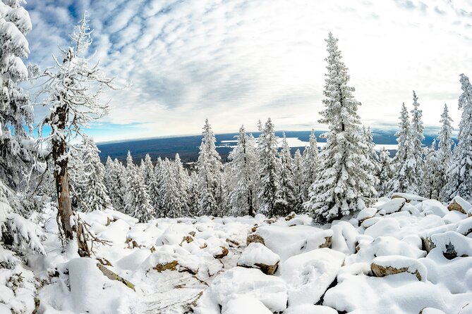 Hike to Frozen Waterfalls of Korouoma Including BBQ Lunch From Rovaniemi - Arctic Flora, Fauna, and Geology