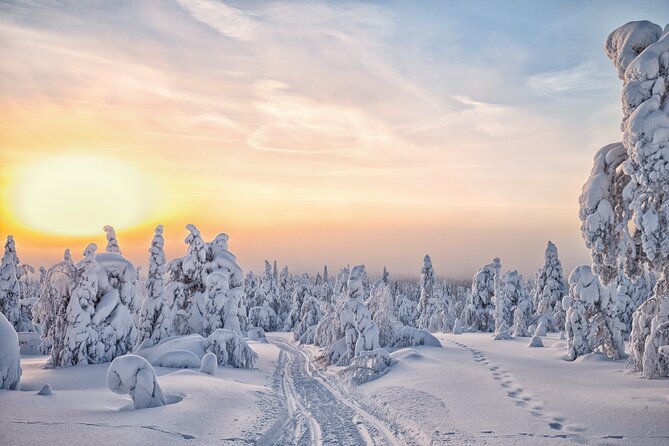 Hike to Frozen Waterfalls of Korouoma Including BBQ Lunch From Rovaniemi - Bonfire Barbecue Lunch Menu