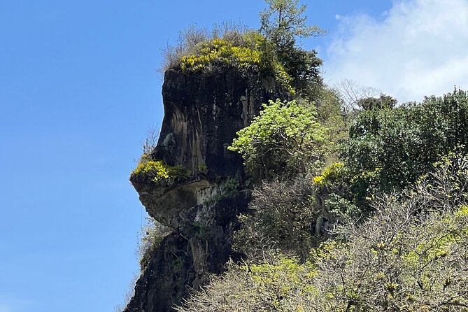 Hike to Gorilla Rock With Swimming at Questelles Beach - Tour Specifications