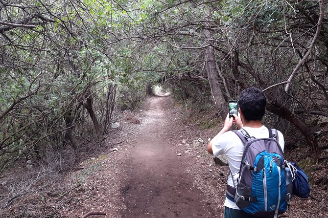 Hike to Gorropu Canyon - Booking Support