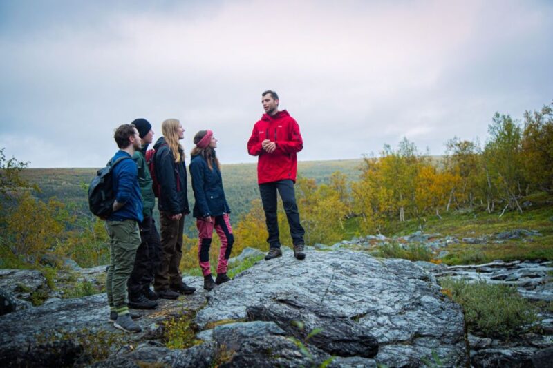 Hike to Orvvosfossen Waterfall - Natural Environment