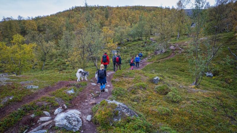 Hike to Orvvosfossen Waterfall - Tour Inclusions