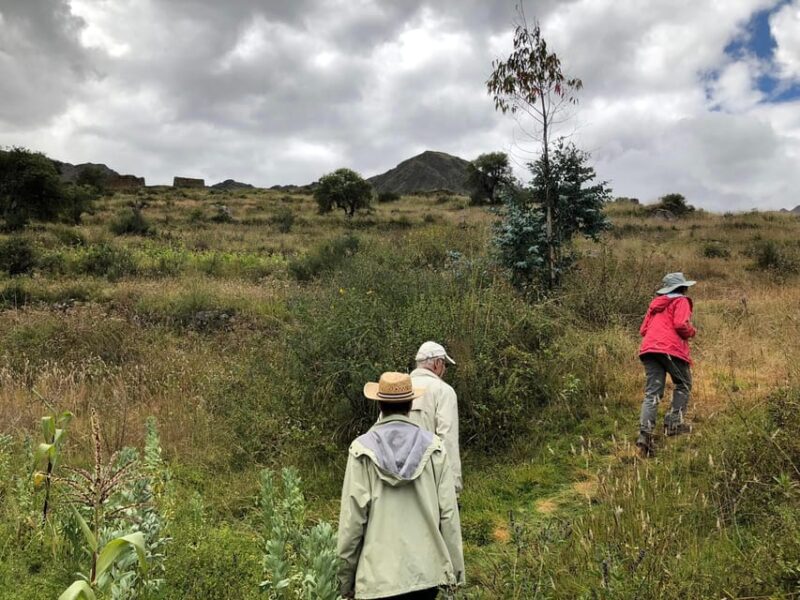 Hike to Pumamarca and Ollantaytambo - Inca Fortress Exploration