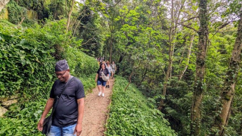 Hike to Sintras Highlights With a Dutch Guide! - Itinerary and Highlights