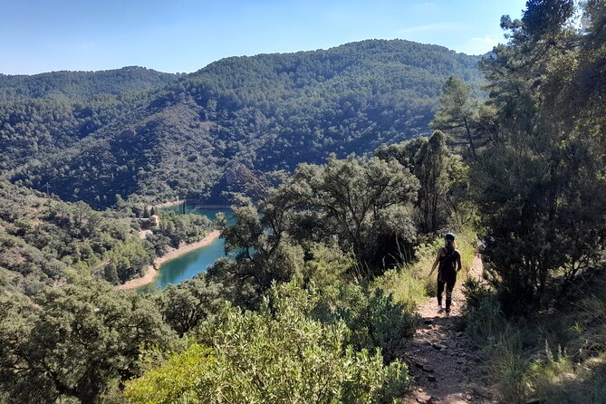 Hike to Spectacular Lookout of Organs of Benitandús - Stunning Vistas and Landscapes
