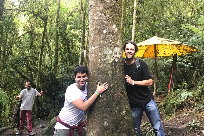 Hike to the Highest Colombian Waterfall! (La Chorrera and Chiflon) - Physical Requirements