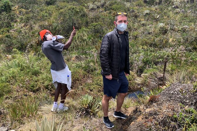 Hike to the Highest Colombian Waterfall! (La Chorrera and Chiflon) - Ecosystem and Biodiversity