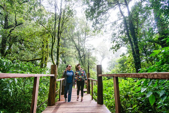 Hike to the Highest Spot + Waterfall in Chiang Mai - Traveler Suitability Guidelines