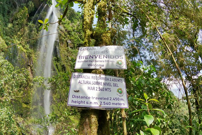 Hike to the Highest Waterfall in Colombia, La Chorrera - Accessibility and Health Considerations