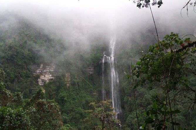 Hike to the Highest Waterfall in Colombia, La Chorrera - Schedule and Pricing
