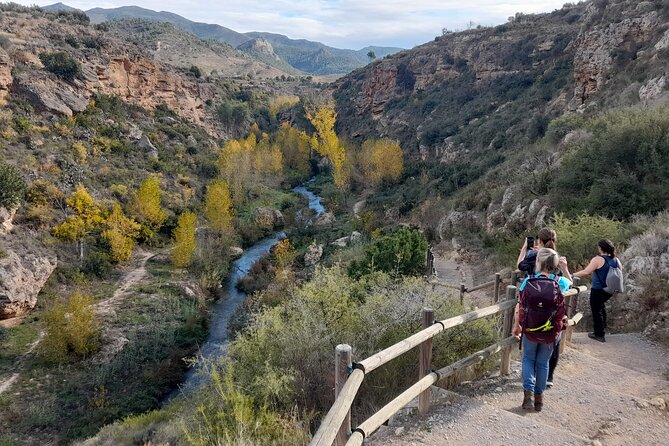 Hike to the Roman Aqueduct Peña Cortada - Group Size and Accessibility