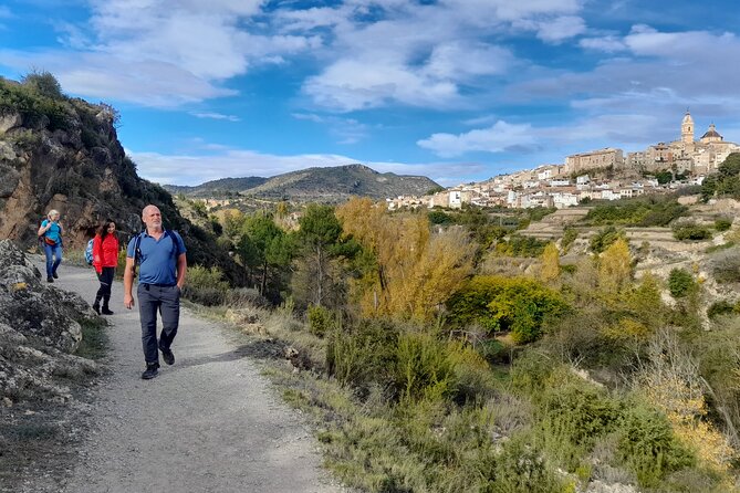 Hike to the Roman Aqueduct Peña Cortada - Booking Details and Pricing