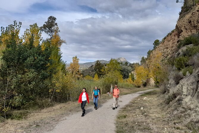 Hike to the Roman Aqueduct Peña Cortada - Review Summary