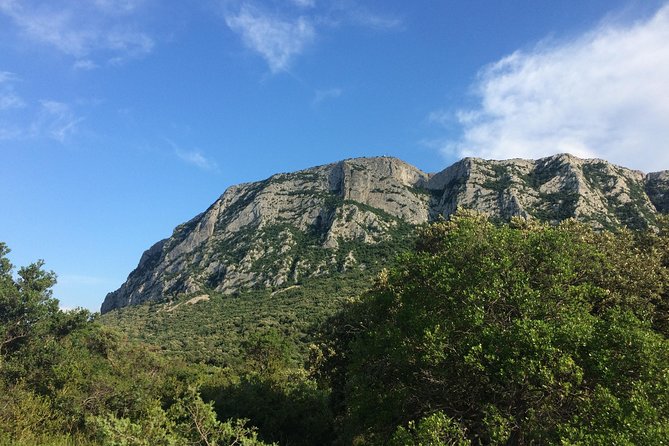 Hike to the Top of Pic Saint Loup, Wine & Food - Customer Testimonials