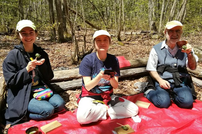 Hike to Visit Waterfalls in Hida-Osaka - Activities and Experiences