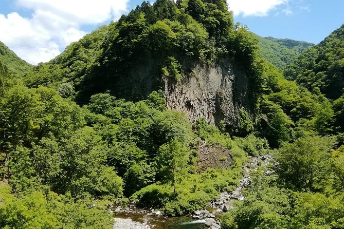 Hike to Visit Waterfalls in Hida-Osaka - Group Size