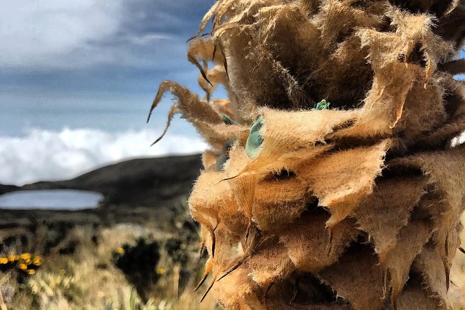 Hike Tour Sumapaz Paramo, the Largest Paramo in the World! - Overview of the Hike Tour