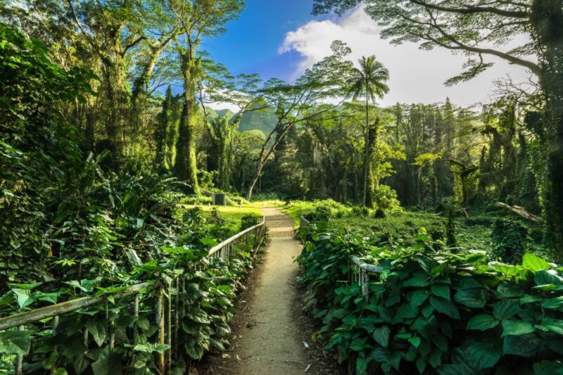 Hike Trail to Waterfall & Nature Walk - Itinerary and Highlights