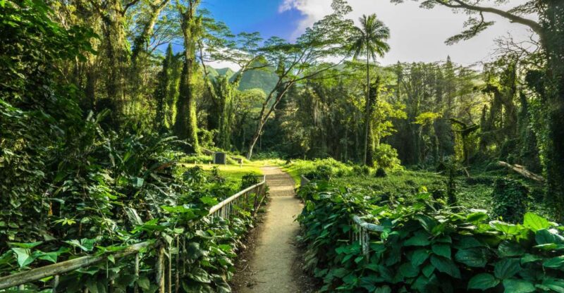 Hike Trail to Waterfall & Nature Walk - Inclusives and Preparation