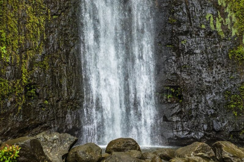 Hike Trail to Waterfall & Nature Walk - Customer Reviews and Ratings