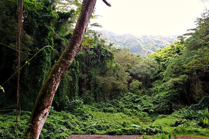 Hike Trail to Waterfall & Nature Walk - Pickup and Departure Details