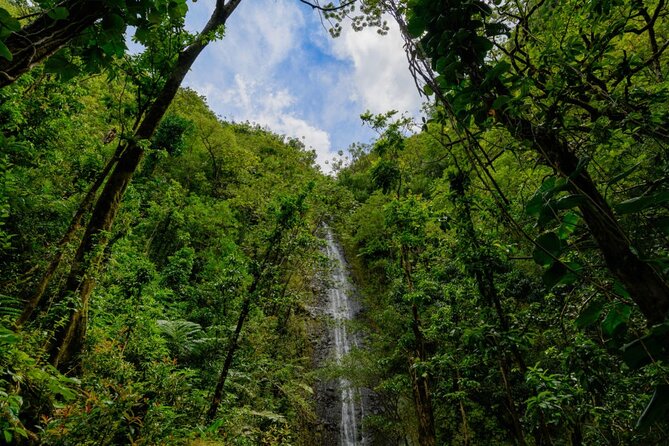 Hike Trail to Waterfall & Nature Walk - Tour Requirements