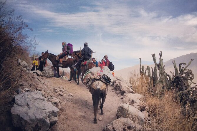 Hike - Trek Colca Canyon 2d/1n With Final in Puno - Booking and Cancellation Policy