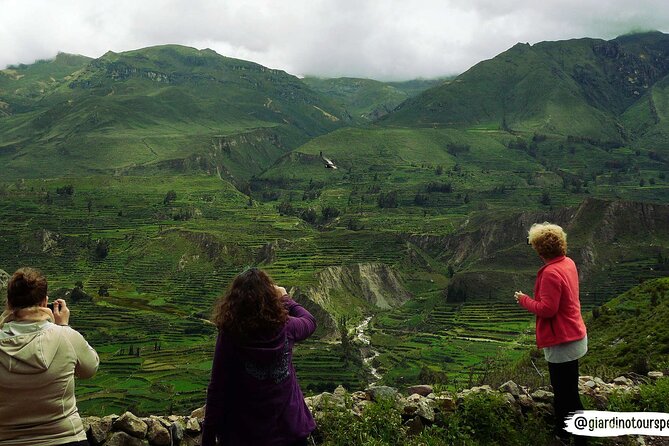 Hike - Trek Colca Canyon 2d/1n With Final in Puno - Highlights of the Trek