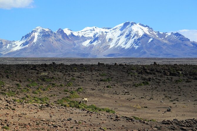 Hike - Trek Colca Canyon 2d/1n With Final in Puno - Preparing for the Hike